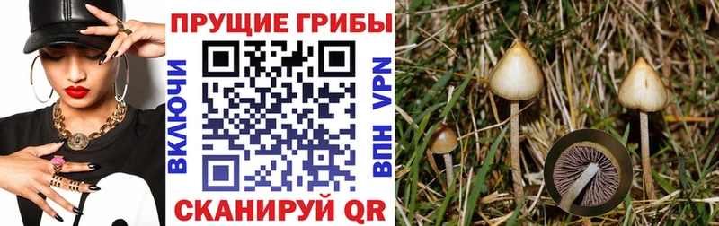 Галлюциногенные грибы Magic Shrooms  Купить  Надым 